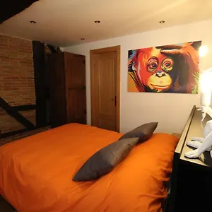 Monkeys House. Vitoria-Gasteiz